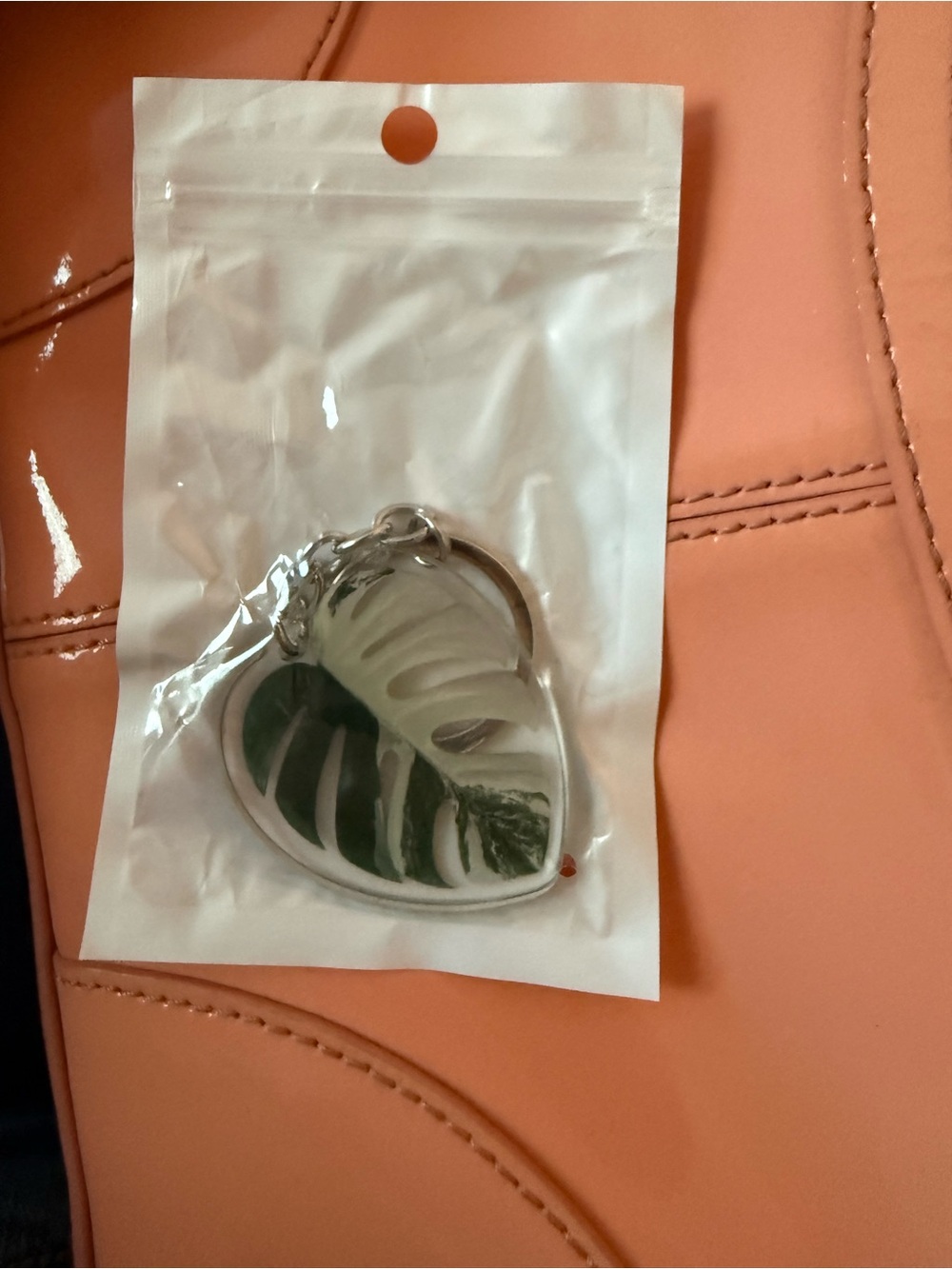 Monstera deliciosa 'Albo Variegata
Keychain - White and Dark Green - NEW! - Picture 3 of 3